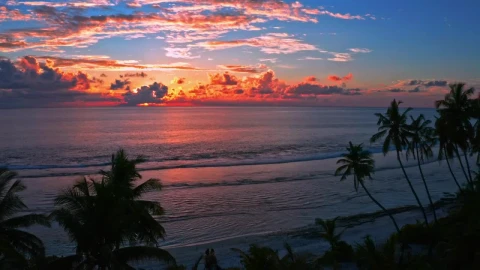 Stock Video Bright Orange Sunset On Beach Live Wallpaper For PC - Free Live Wallpaper