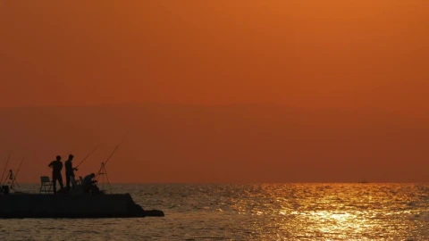 Stock Video Bright Orange Evening Across The Ocean Live Wallpaper For PC - Free Live Wallpaper