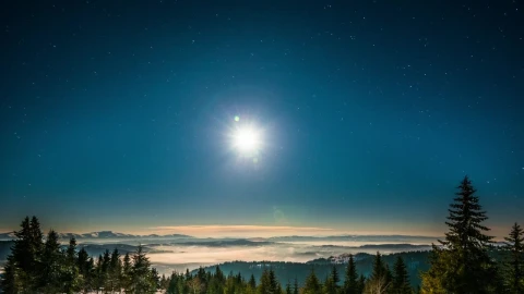 Stock Video Bright Moon On A Starry Sky At A Winter Forest Live Wallpaper For PC - Free Live Wallpaper