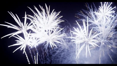 Stock Video Bright Fireworks In The Night Sky Live Wallpaper For PC - Free Live Wallpaper