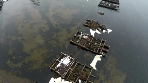 Stock Video Bridge Ruins Across The Ocean Live Wallpaper For PC - Free Live Wallpaper