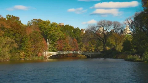 Stock Video Bridge In Central Park Live Wallpaper For PC - Free Live Wallpaper