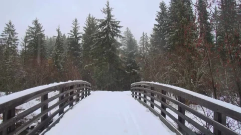 Stock Video Bridge Covering Of Snow In A Forest Live Wallpaper For PC - Free Live Wallpaper