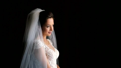 Stock Video Bride With Dark Hair Smiles And Poses On Black Background Live Wallpaper For PC - Free Live Wallpaper