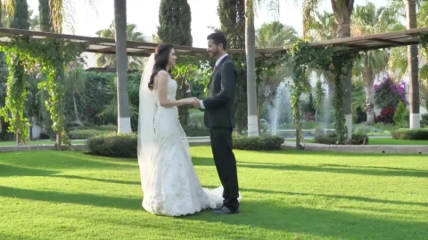 Stock Video Bride And Groom At Their Wedding Standing Head On In A Live Wallpaper For PC - Free Live Wallpaper