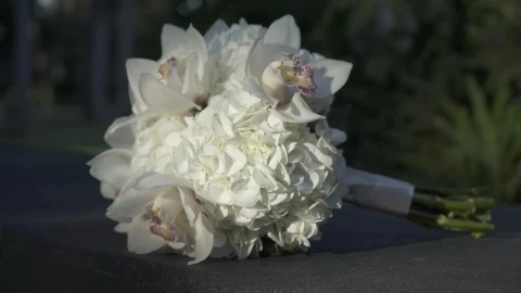 Stock Video Bridal Bouquet With White Flowers Live Wallpaper For PC - Free Live Wallpaper
