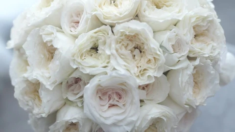 Stock Video Bridal Bouquet Of White Flowers In A Close Up Shot Live Wallpaper For PC - Free Live Wallpaper