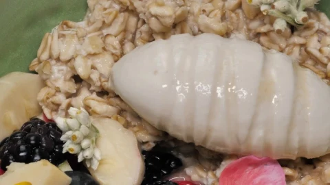 Stock Video Breakfast Closeup Of Blackberries And Oatmeal Live Wallpaper For PC - Free Live Wallpaper