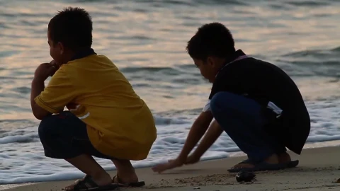 Stock Video Boys At The Beach During Sunset Live Wallpaper For PC - Free Live Wallpaper