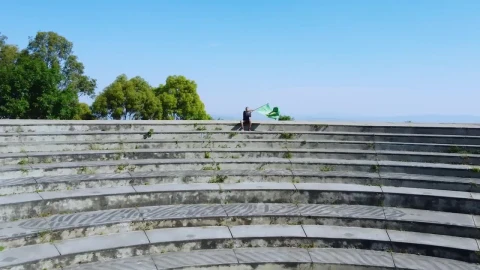 Stock Video Boy Waving The Brazilian Flag Outdoors Live Wallpaper For PC - Free Live Wallpaper
