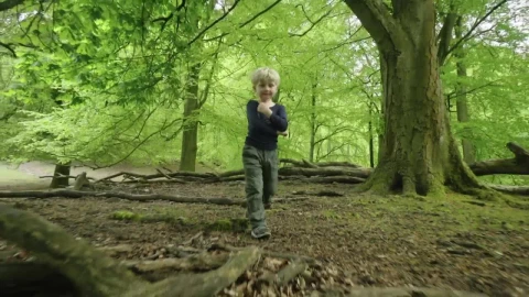 Stock Video Boy Walking Alone Live Wallpaper For PC - Free Live Wallpaper