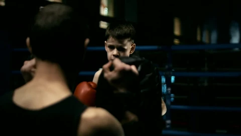 Stock Video Boy Training Boxing On The Ring Live Wallpaper For PC - Free Live Wallpaper