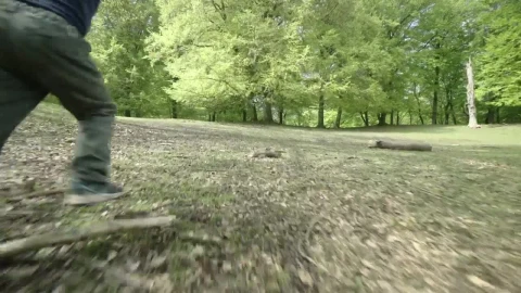 Stock Video Boy Running Towards A Forest Live Wallpaper For PC - Free Live Wallpaper
