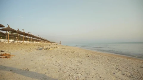 Stock Video Boy Running On The Sand Live Wallpaper For PC - Free Live Wallpaper