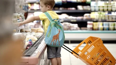 Stock Video Boy Pulling A Shopping Cart Live Wallpaper For PC - Free Live Wallpaper