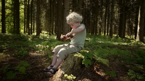 Stock Video Boy Playing In Woodland Live Wallpaper For PC - Free Live Wallpaper