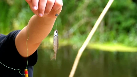 Stock Video Boy Holding A Fish Bait Live Wallpaper For PC - Free Live Wallpaper