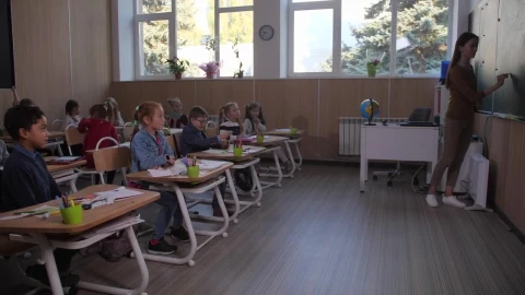 Stock Video Boy Answering A Question In Class Live Wallpaper For PC - Free Live Wallpaper
