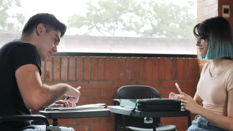 Stock Video Boy And Girl Classmates Studying Together Live Wallpaper For PC - Free Live Wallpaper