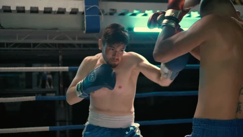 Stock Video Boxers Hitting In A Fight Live Wallpaper For PC - Free Live Wallpaper