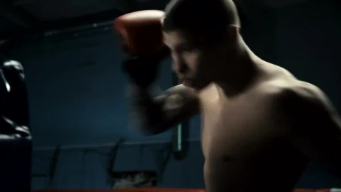 Stock Video Boxer Training Hard At The Gym Live Wallpaper For PC - Free Live Wallpaper