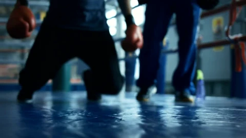 Stock Video Boxer Falling Down Into The Ring Floor Live Wallpaper For PC - Free Live Wallpaper