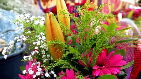 Stock Video Bouquets Of Assorted Flowers In A Flower Shop Live Wallpaper For PC - Free Live Wallpaper