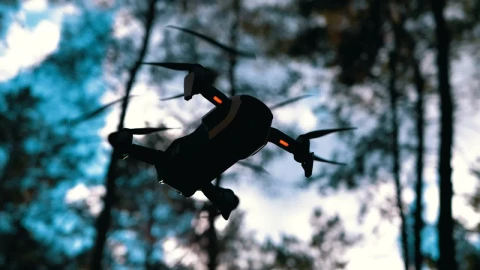 Stock Video Bottom View Of A Drone Hovering In The Woods Live Wallpaper For PC - Free Live Wallpaper