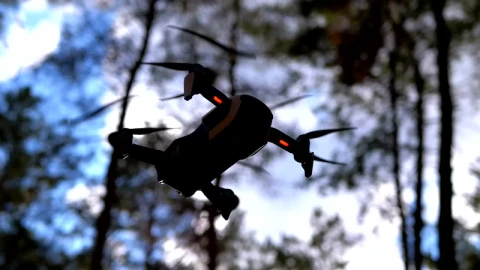 Stock Video Bottom Shot Of A Drone Hovering In The Woods Live Wallpaper For PC - Free Live Wallpaper