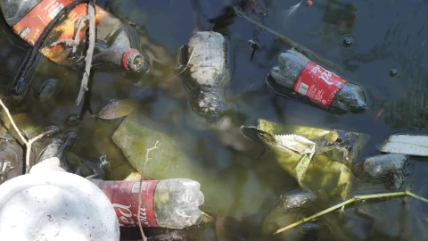 Stock Video Bottles And Bags In The Dirty Water Of A River Live Wallpaper For PC - Free Live Wallpaper