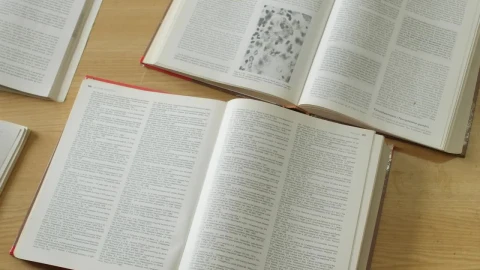 Stock Video Books Open Wide For Reading On A Table Live Wallpaper For PC - Free Live Wallpaper