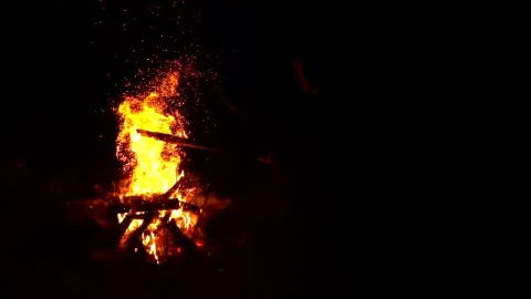 Stock Video Bonfire In The Dark Live Wallpaper For PC - Free Live Wallpaper