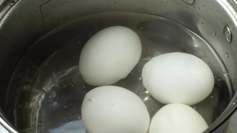 Stock Video Boiling White Eggs Live Wallpaper For PC - Free Live Wallpaper