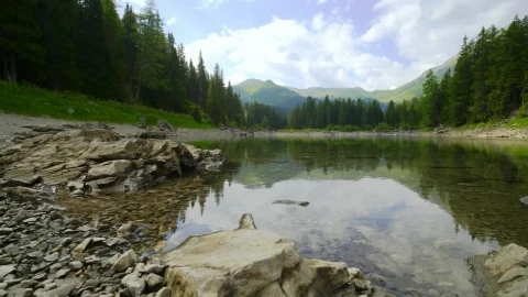 Stock Video Body Of Water In The Middle Of A Forest Near Live Wallpaper For PC - Free Live Wallpaper