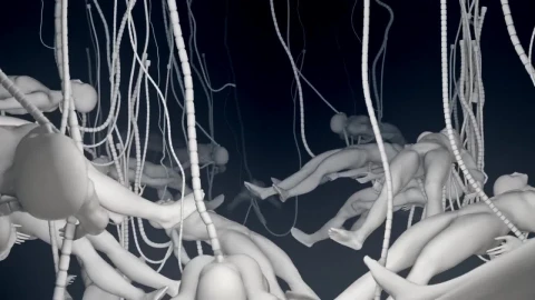 Stock Video Bodies In The Matrix Live Wallpaper For PC - Free Live Wallpaper