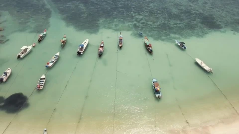 Stock Video Boats Tied To The Shore Of A Sunny Beach Live Wallpaper For PC - Free Live Wallpaper