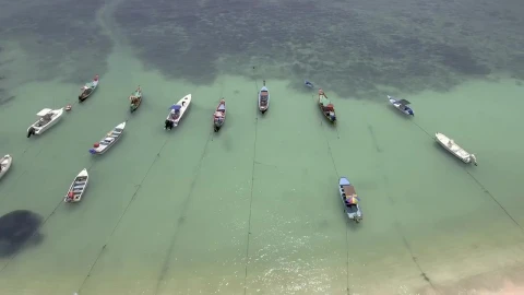 Stock Video Boats Tied Up Near A Paradisiacal Beach From Above Live Wallpaper For PC - Free Live Wallpaper