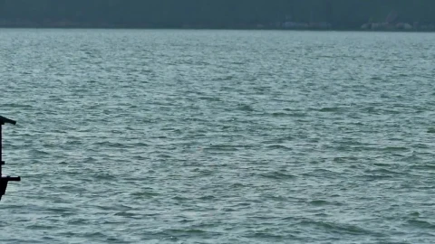 Stock Video Boats Rocking In Calm Water Live Wallpaper For PC - Free Live Wallpaper