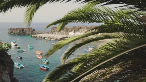 Stock Video Boats In The Seaport Of A Tourist Town Live Wallpaper For PC - Free Live Wallpaper