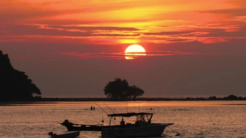 Stock Video Boats In The Ocean At Dusk Live Wallpaper For PC - Free Live Wallpaper
