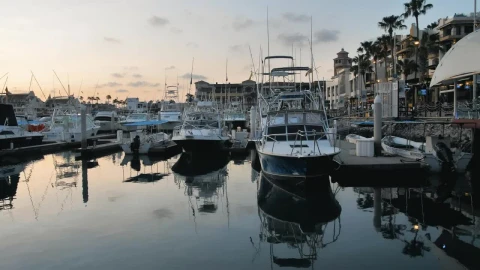 Stock Video Boats And Yachts At A Dock Live Wallpaper For PC - Free Live Wallpaper