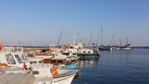 Stock Video Boats Anchored In A Harbor Live Wallpaper For PC - Free Live Wallpaper