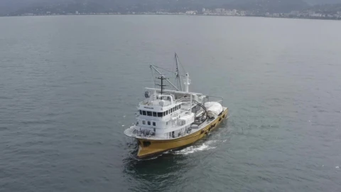 Stock Video Boat Heading Away From Shore Live Wallpaper For PC - Free Live Wallpaper