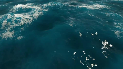 Stock Video Blue Surface Of Sea Water In Motion Live Wallpaper For PC - Free Live Wallpaper