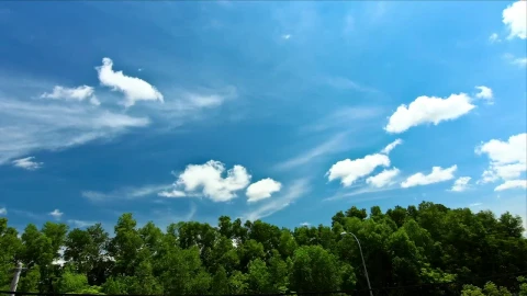 Stock Video Blue Sky Above A Vibrant Forest Live Wallpaper For PC - Free Live Wallpaper