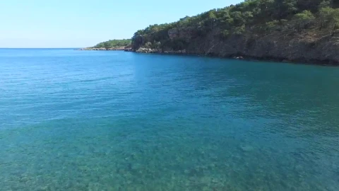 Stock Video Blue Sea And Forest Live Wallpaper For PC - Free Live Wallpaper