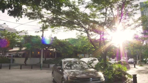Video Stock City Traffic Timelapse Live Wallpaper For PC - Free Live Wallpaper