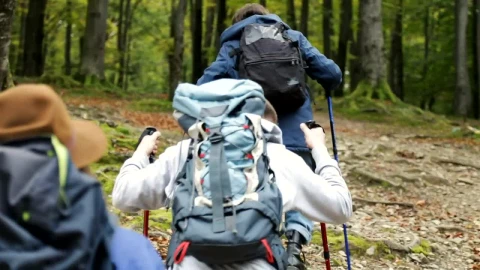 Video Stock Cinematic View Of Friends Hiking Rough Terrain Live Wallpaper For PC - Free Live Wallpaper