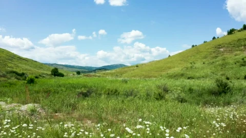 Video Stock Cinematic Aerial View Of Countryside Meadow Live Wallpaper For PC - Free Live Wallpaper
