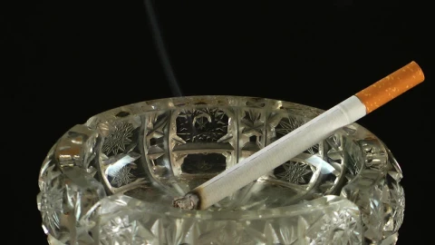 Video Stock Cigarette Burning In An Ashtray Live Wallpaper For PC - Free Live Wallpaper